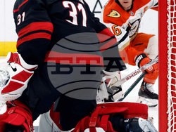 Ducks Hurricanes Hockey