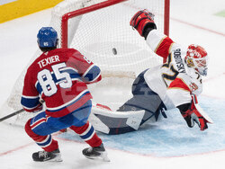 Panthers Canadiens Hockey