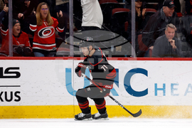 Ducks Hurricanes Hockey