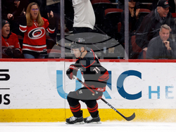 Ducks Hurricanes Hockey