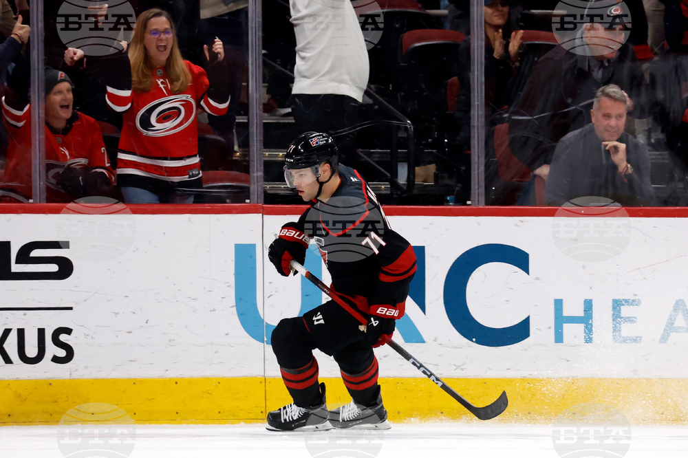 Ducks Hurricanes Hockey