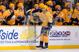 Islanders Predators Hockey