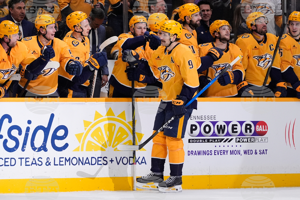 Islanders Predators Hockey