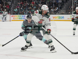 Wild Kraken Hockey