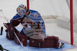 Senators Avalanche Hockey