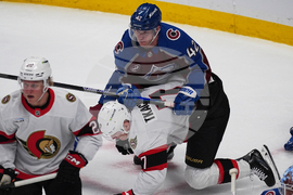 Senators Avalanche Hockey