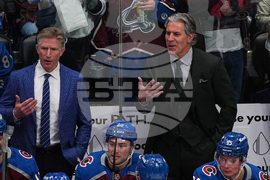 Senators Avalanche Hockey