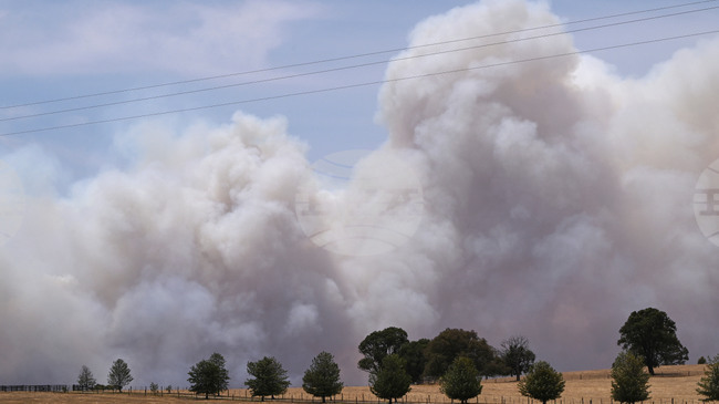 Горските пожари в Югоизточна Австралия продължават да бушуват; полицията откри човешки останки близо до град Лонгуд