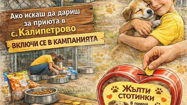 Дарителска акция в Силистра събира средства за местния приют за безстопанствени кучета