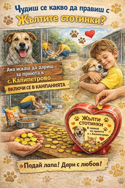 Дарителска акция в Силистра събира средства за местния приют за безстопанствени кучета
