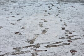 Румъния - Букурещ - зимна обстановка