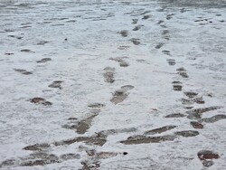 Румъния - Букурещ - зимна обстановка