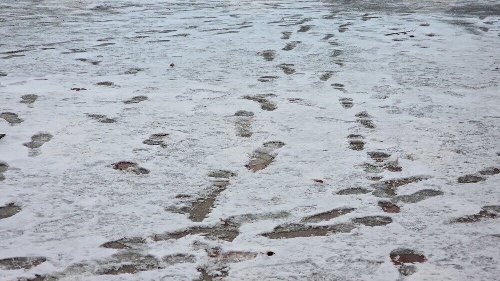 Румъния - Букурещ - зимна обстановка