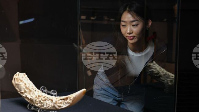 МОНЦАМЕ: Монголия популяризира традиционното изкуство резба върху кост 