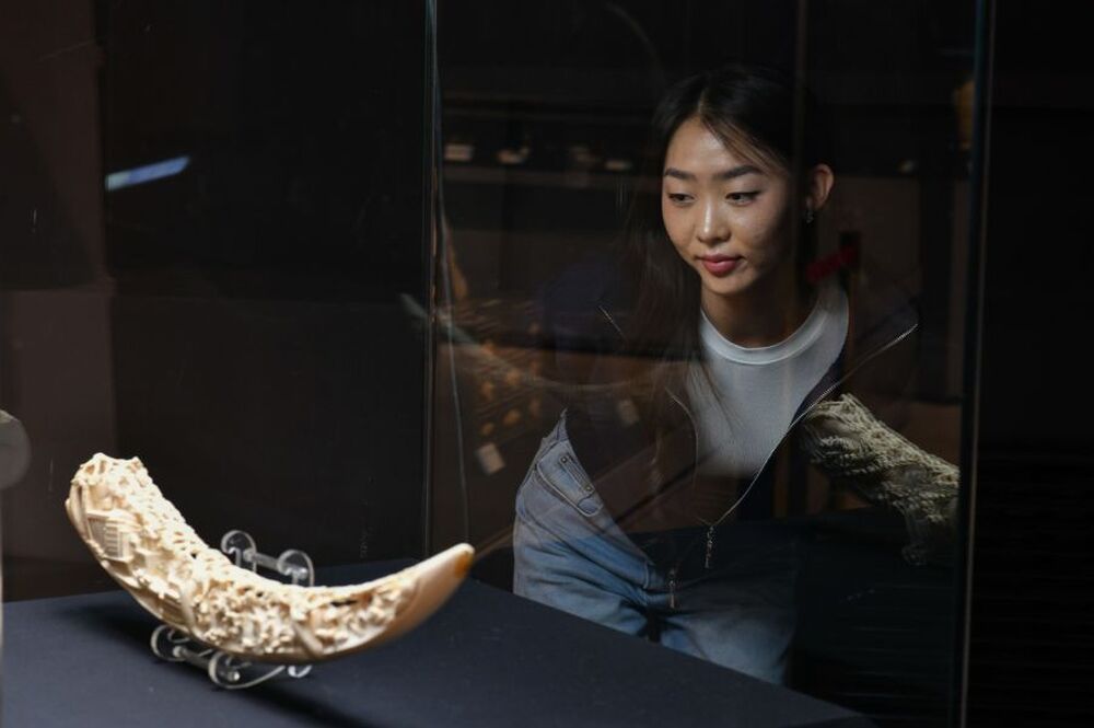 МОНЦАМЕ: Монголия популяризира традиционното изкуство резба върху кост 