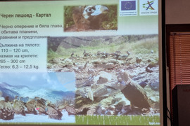 Враца - проект лешояди