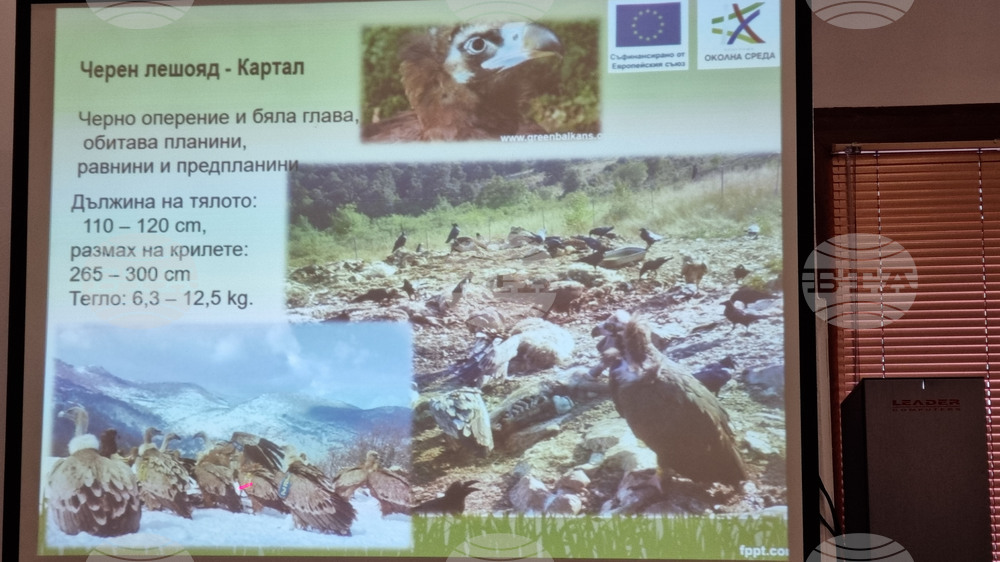 Враца - проект лешояди