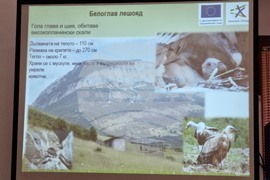 Враца - проект лешояди