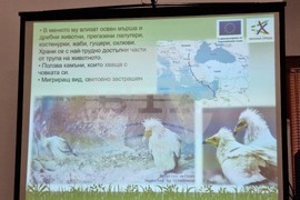 Враца - проект лешояди