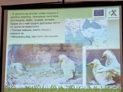 Враца - проект лешояди