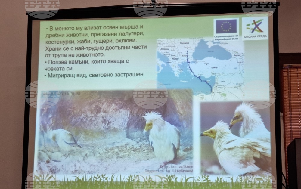 Враца - проект лешояди