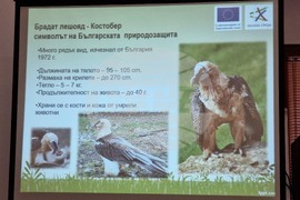 Враца - проект лешояди