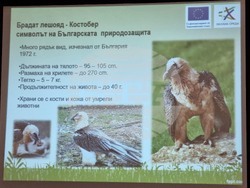 Враца - проект лешояди