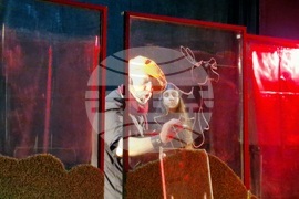 Шумен - Драматично-куклен театър „Васил Друмев“ - „Сладкопойното магаре“