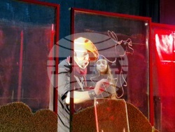 Шумен - Драматично-куклен театър „Васил Друмев“ - „Сладкопойното магаре“