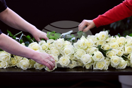 Switzerland Bar Fire