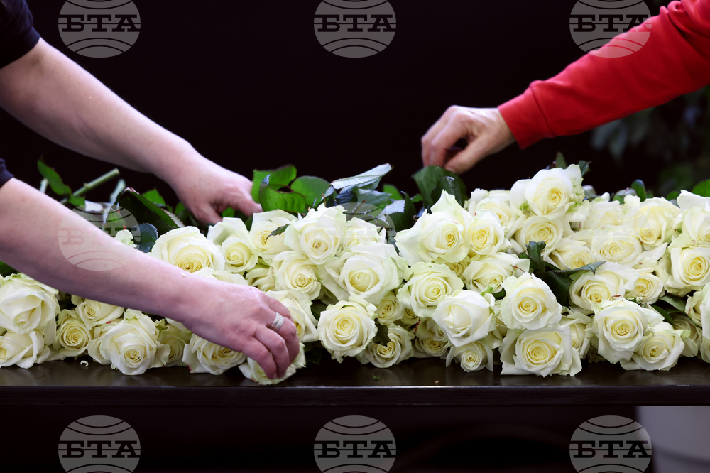 Switzerland Bar Fire