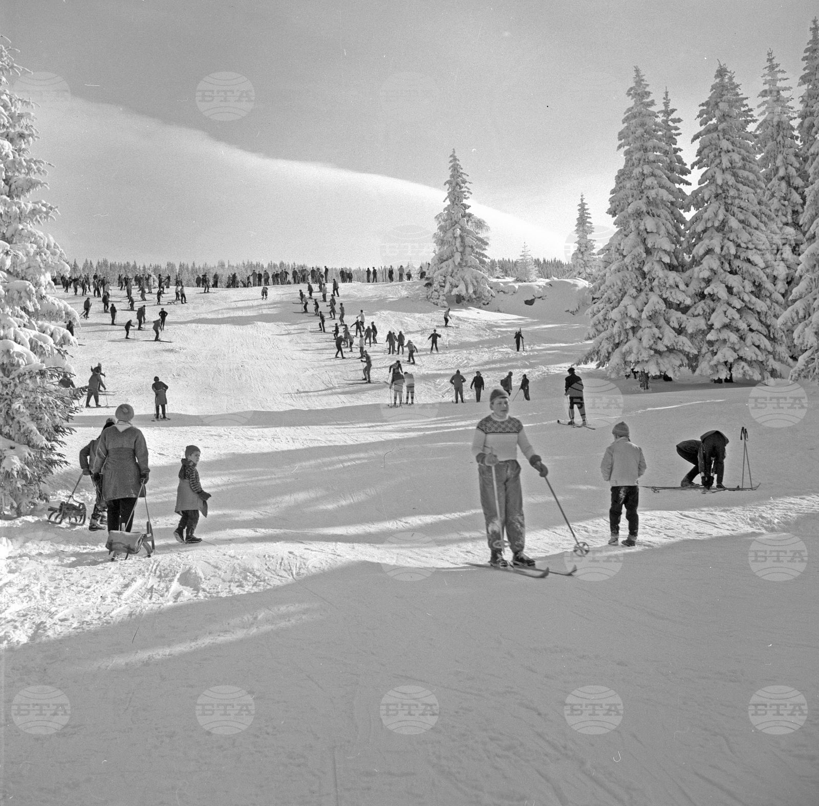 Разходка до Витоша през зимата