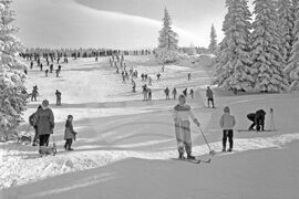 Разходка до Витоша през зимата