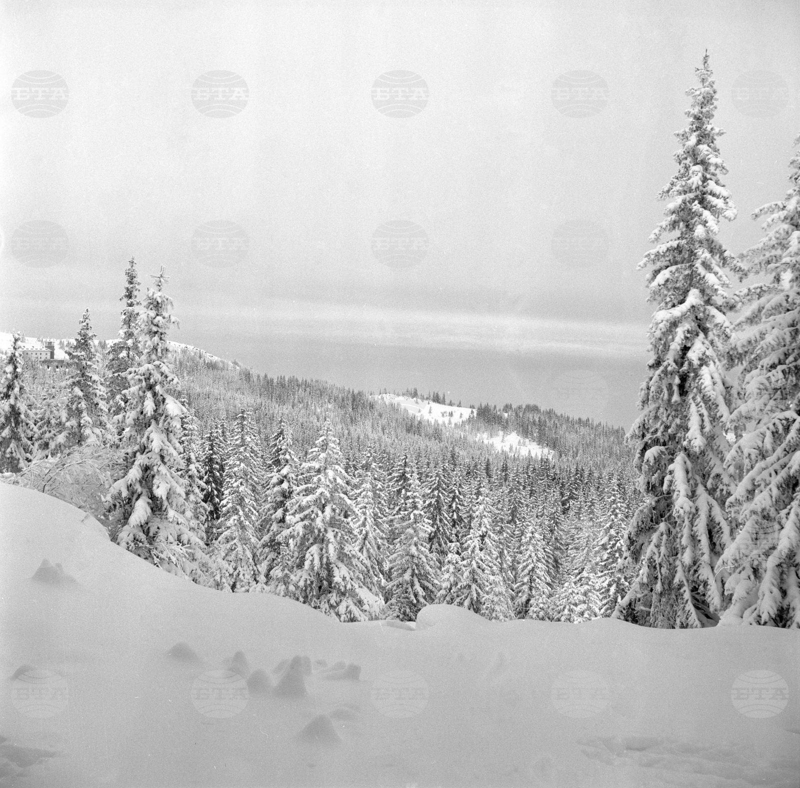 Разходка до Витоша през зимата