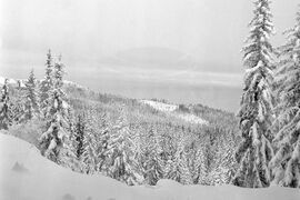 Разходка до Витоша през зимата