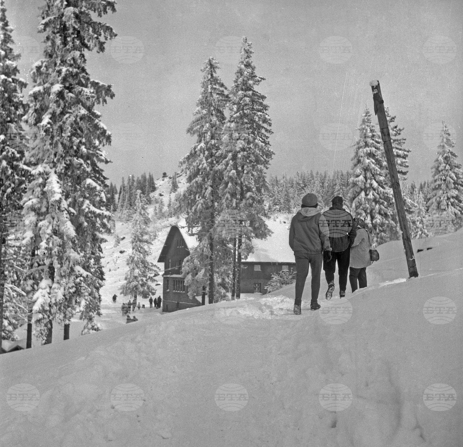 Разходка до Витоша през зимата