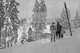 Разходка до Витоша през зимата