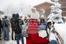 Switzerland Bar Fire