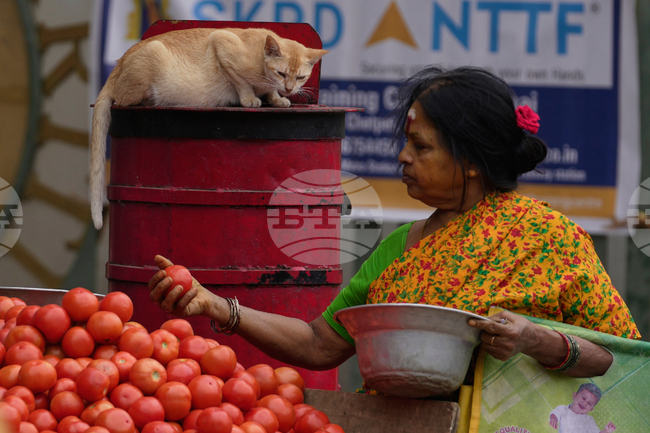 APTOPIX India Daily Life