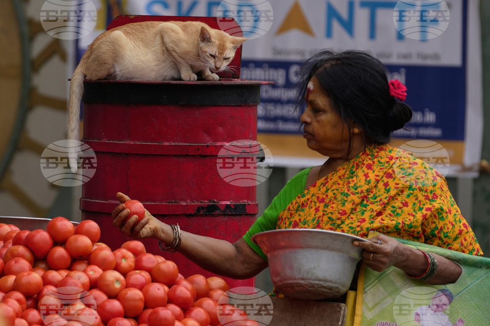 APTOPIX India Daily Life