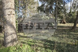 Панагюрище - силен вятър - съборени дървета