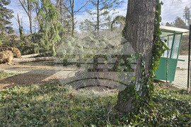 Панагюрище - силен вятър - съборени дървета