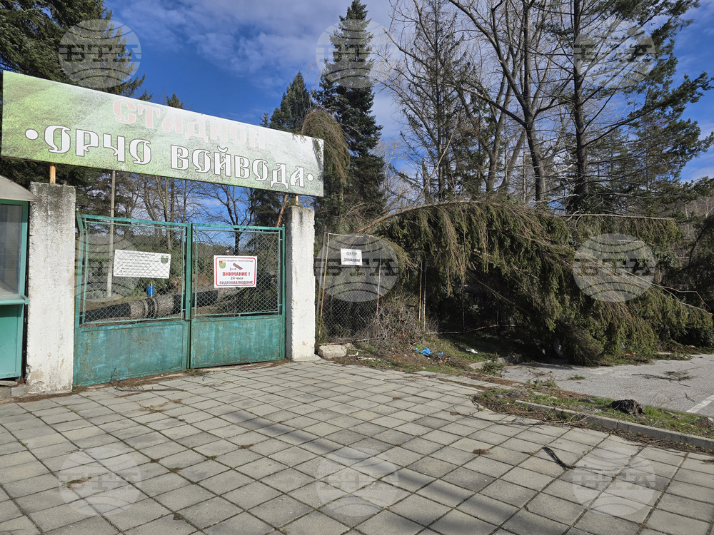 Панагюрище - силен вятър - съборени дървета