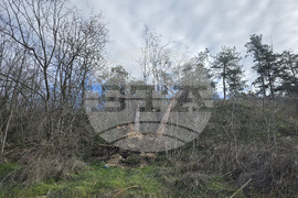 Панагюрище - силен вятър - съборени дървета