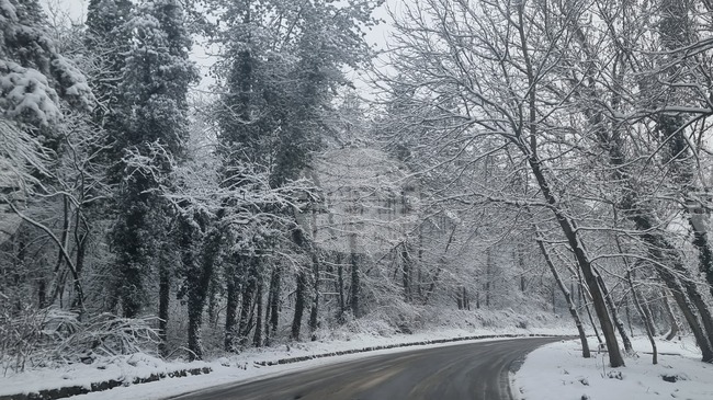 В област Плевен 139 машини са разположени в осем пункта за почистване на републиканските пътища при снеговалеж