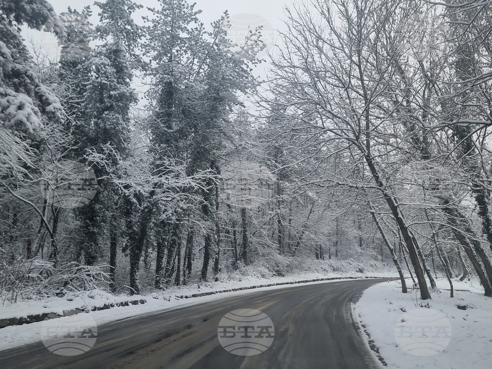 В област Плевен 139 машини са разположени в осем пункта за почистване на републиканските пътища при снеговалеж