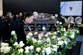 Switzerland Bar Fire