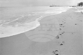 През януари на почивка в курортния комплекс „Златни пясъци“