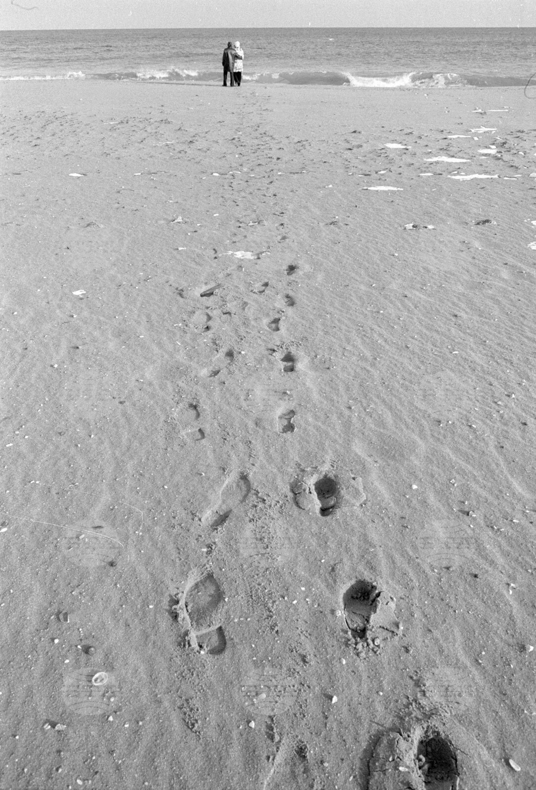 През януари на почивка в курортния комплекс „Златни пясъци“