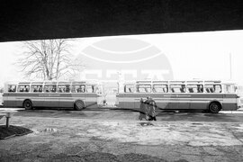 През януари на почивка в курортния комплекс „Златни пясъци“